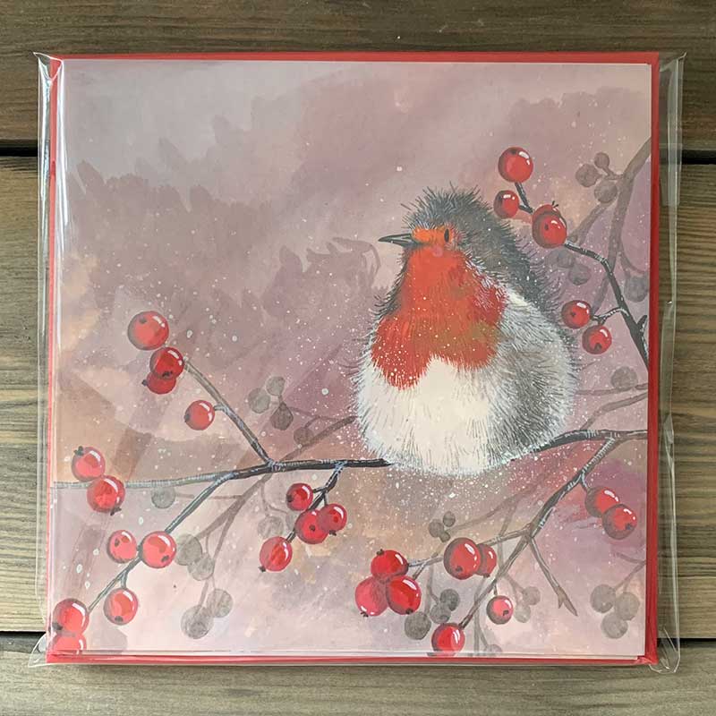 robin bird berry christmas card pack | Alex Clark Art