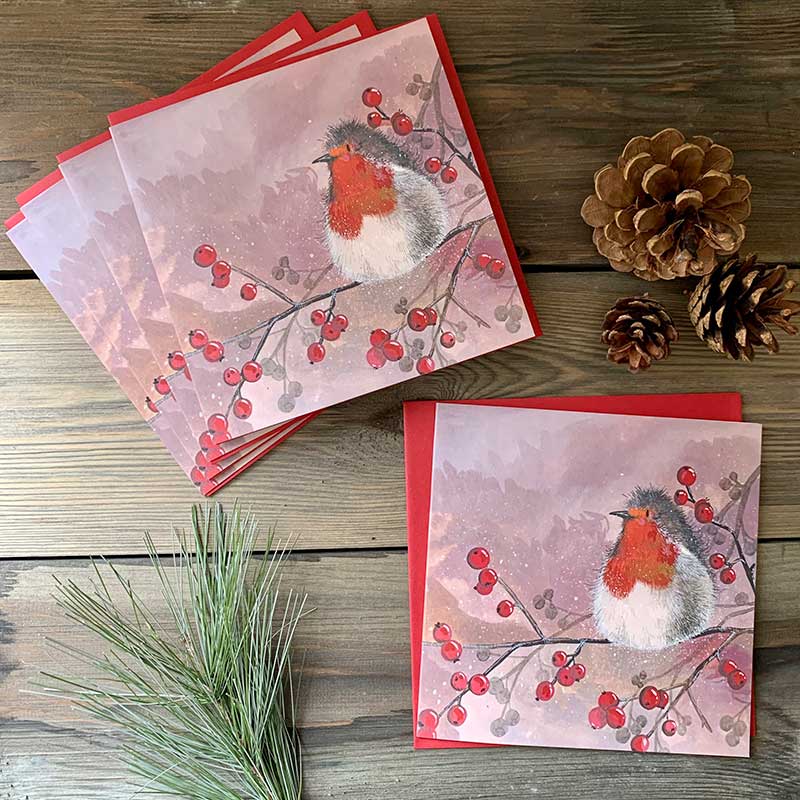 robin bird berry christmas card pack | Alex Clark Art